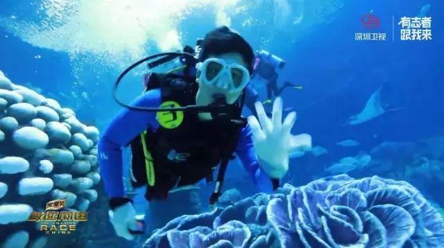 机场直通车方便旅客出行