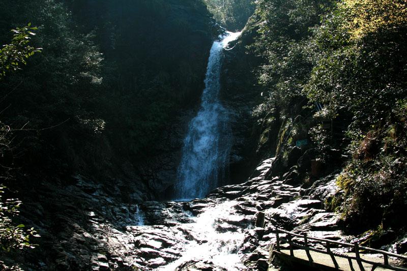 小长颈鹿逃离
