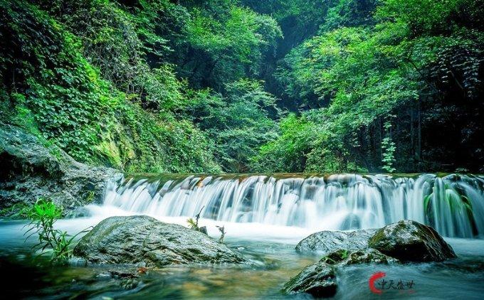 【组图】贵州贵安:梅花绽放俏寒冬